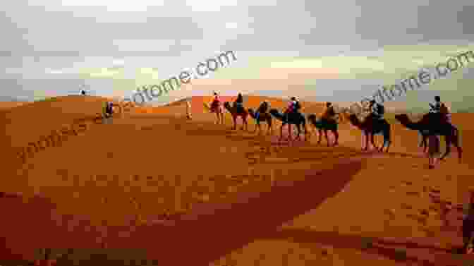 A Caravan Of Camels Crossing A Desert Landscape Who Was South Australia S First Camel?