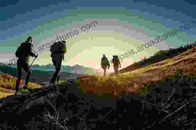 A Group Of People Hiking In The Mountains The Songs Of Trees: Stories From Nature S Great Connectors