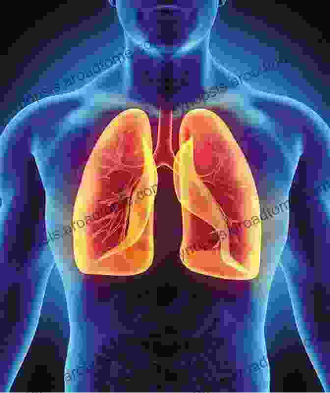 A Photo Of A Person With A Lean Body And Healthy Lungs Lean Body Healthy Lungs: How To Successfully Quit Smoking Without Gaining Weight