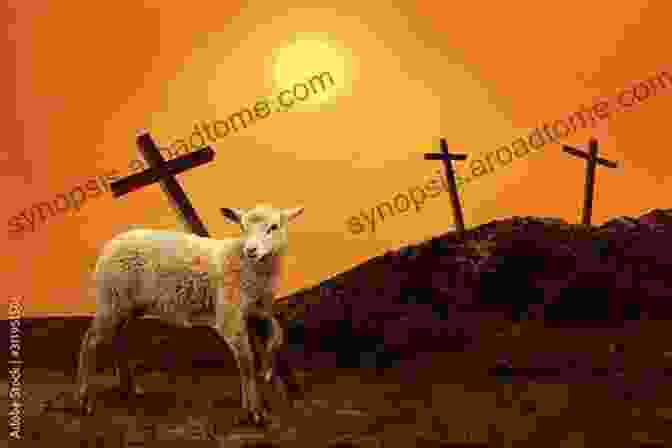 A Sacrificial Lamb, Symbolizing The Atoning Sacrifice Of Jesus Finding Jesus In The Old Testament