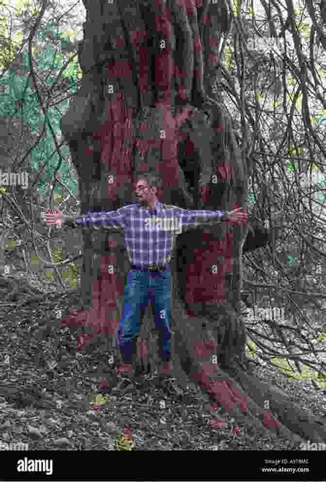 A Solitary Druid Standing Among A Grove Of Trees, His Arms Outstretched In A Meditative Pose, Communing With The Spirits Of The Forest. The Lost Wisdom Of The Druids: Beyond The Triple Spiral