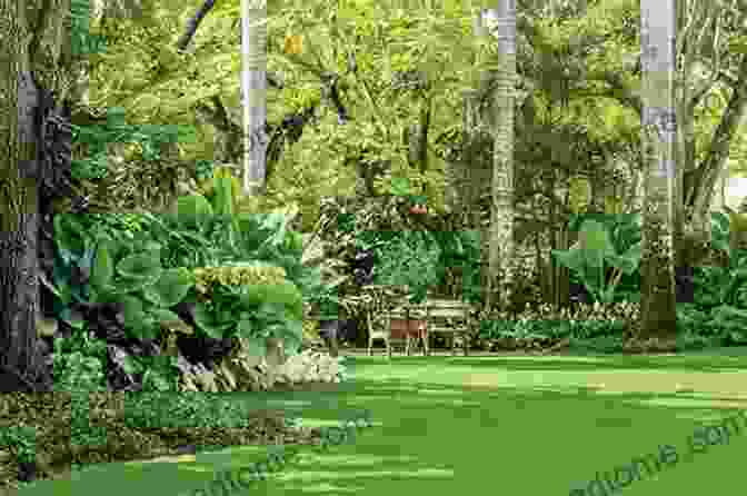 An Exquisite Garden Design Featuring Lush Tropical Plants, Creating A Visual Masterpiece Beyond The Tropics Push The Zone: The Good Guide To Growing Tropical Plants Beyond The Tropics