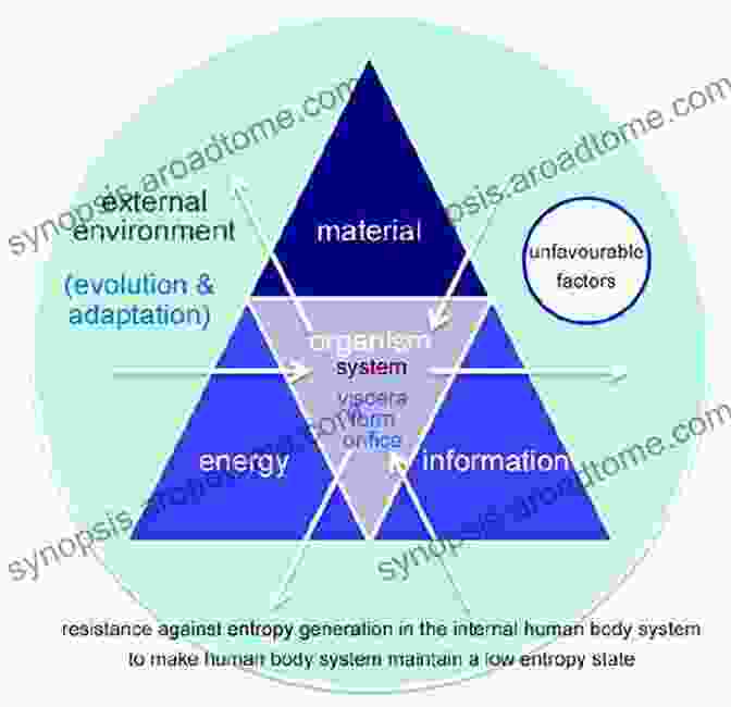 Applications Of Dynamics Of Biological Systems In Various Disciplines Dynamics Of Biological Systems (Chapman Hall/CRC Computational Biology 42)