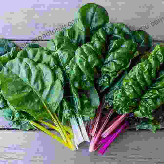 Assortment Of Leafy Greens The A To Z Of Anti Aging Foods (The A To Z Books)