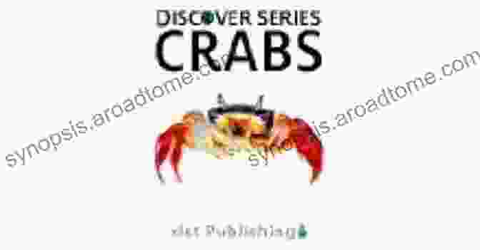 Authors Of The Crabs Discover Book Series Crabs (Discover Series) Xist Publishing