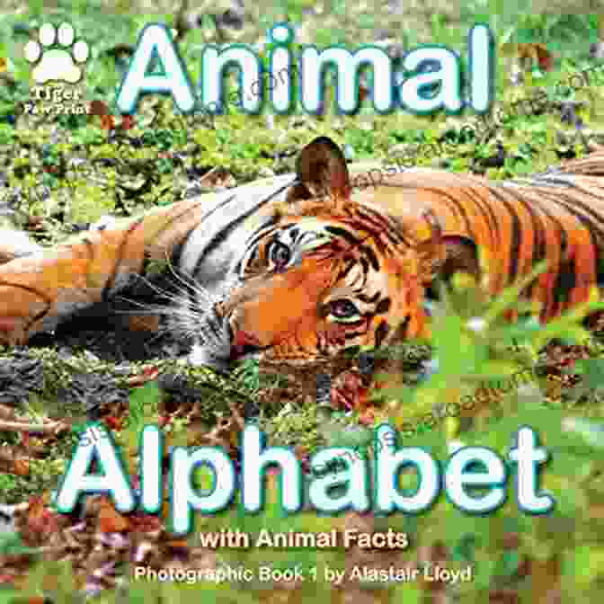 Book Cover Of Animal Alphabet Photographic By Alastair Lloyd Animal Alphabet: Photographic 1 By Alastair Lloyd