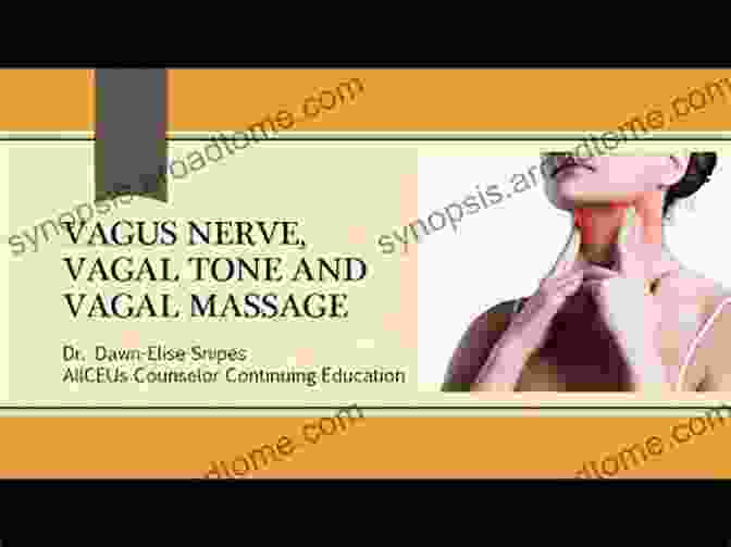 Carotid Sinus Massage Exercise For Vagus Nerve Stimulation Simple Exercises To Stimulate The Vagus Nerve: An Illustrated Guide To Alleviate Stress Depression Anxiety Pain And Digestive Conditions