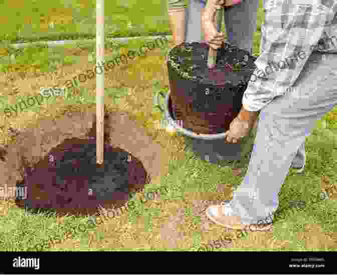 Couple Planting A Tree In Their Backyard HOW TO MAKE YOUR HOUSE ECO FRIENDLY BY THE SEASON : AKA SEASONAL HOME REPAIR CHECKLIST