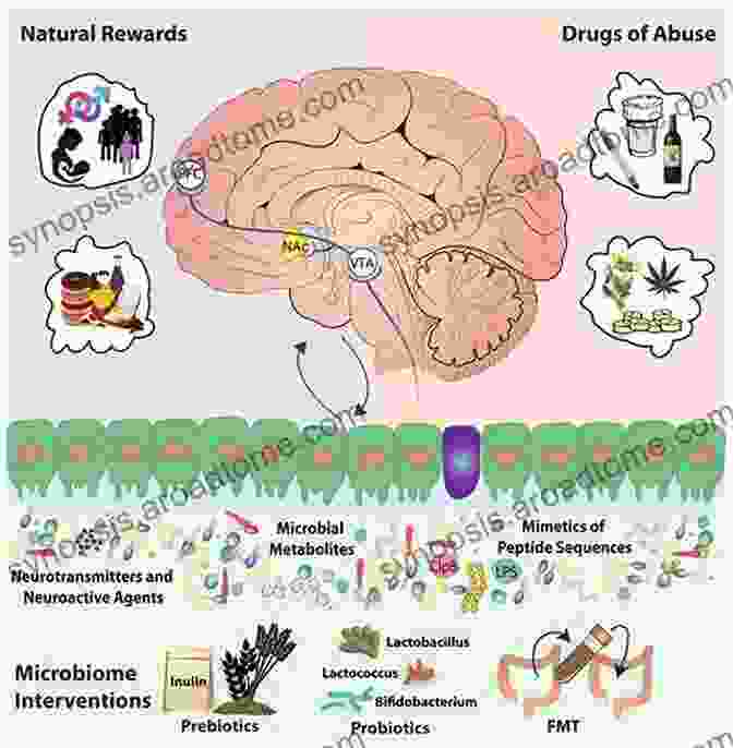 Diagram Illustrating The Interconnectedness Of The Mind And Body, Highlighting The Influence Of The Brain, Gut Microbiome, And Other Bodily Systems On Mental Processes How To Grow A Human: Adventures In How We Are Made And Who We Are