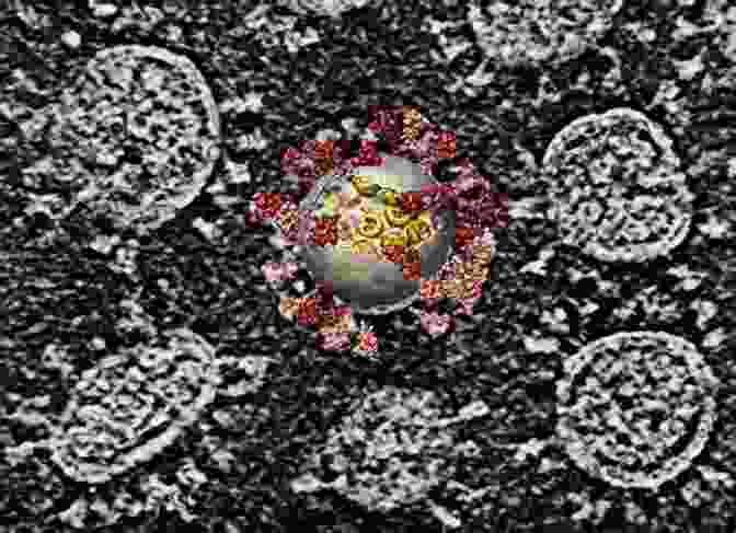 Electron Microscope Image Of A COVID 19 Virus COVID 19: Anatomy Of A Pandemic