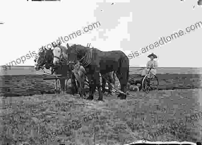 Homesteader Woman Plowing A Field The Gentle Tamers: Women Of The Old Wild West