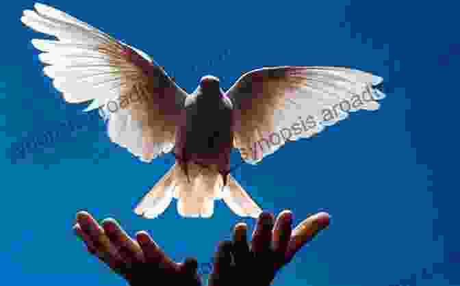 Image Of A Person Releasing A Bird From Their Hand, Symbolizing Letting Go Of Limitations The Way Of The Tao Living An Authentic Life By Dennis Waller