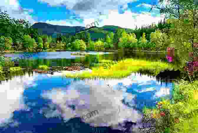 Image Of Lush Greenery And A Clear Blue Sky, Representing Summer The Lunar Tao: Meditations In Harmony With The Seasons