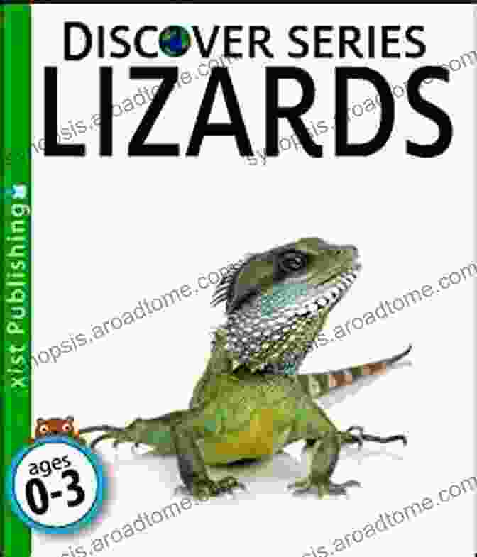 Lizards Discover Series Xist Publishing Lizards (Discover Series) Xist Publishing