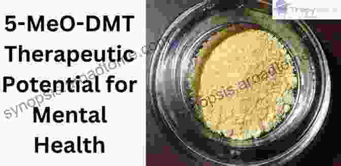 Modern Research On DMT's Therapeutic Potential DMT (A Shorty History Of )