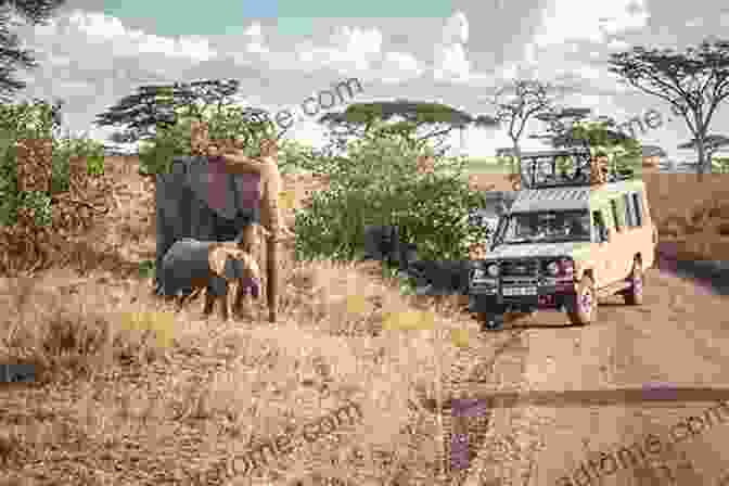 Safari Jeep In The Serengeti National Park In Tanzania Where Is The Serengeti? (Where Is?)