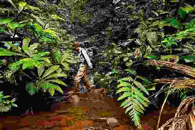 Scientists Exploring A Lush Rainforest, Discovering New Species And Ecological Interactions. Worlds Of Natural History Helen Anne Curry