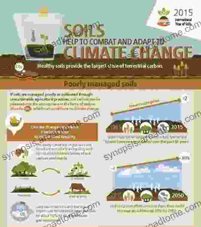 Soil Security Is Vital For Climate Change Mitigation. Healthy Soils Store Carbon And Regulate Water Flow, Reducing Greenhouse Gas Emissions And Water Scarcity. Ground Breaking: Soil Security And Climate Change