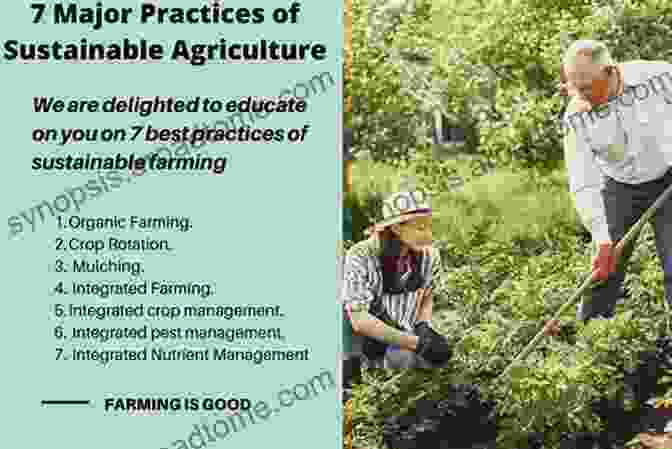 Soil Security Solutions, Such As Sustainable Agriculture Practices, Afforestation, And Water Conservation, Can Help To Mitigate Climate Change By Restoring Soils, Enhancing Carbon Sequestration, And Reducing Erosion. Ground Breaking: Soil Security And Climate Change