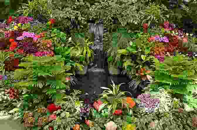 Vibrant Array Of Tropical Plants In A Garden, Adding A Touch Of The Tropics Beyond The Equator Push The Zone: The Good Guide To Growing Tropical Plants Beyond The Tropics