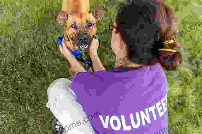 Volunteers Interacting With A Dog Dogtripping: 25 Rescues 11 Volunteers And 3 RVs On Our Canine Cross Country Adventure