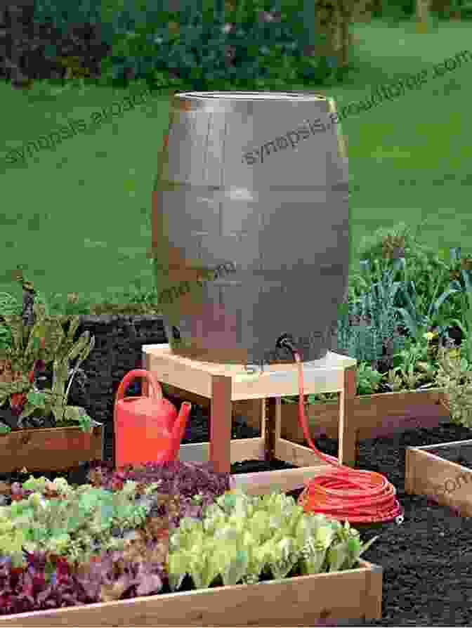 Woman Watering Plants With A Rain Barrel HOW TO MAKE YOUR HOUSE ECO FRIENDLY BY THE SEASON : AKA SEASONAL HOME REPAIR CHECKLIST