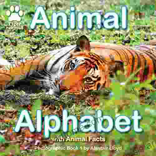 Animal Alphabet: Photographic 1 by Alastair Lloyd