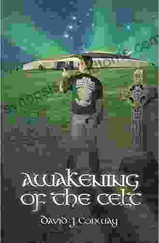 Awakening Of The Celt: David J Conway (1) Awakening Of The Celt 2) The Bridge 3) Time )