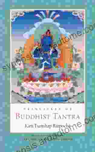 Principles Of Buddhist Tantra: A Commentary On Choje Ngawang Palden S Illumination Of The Tantric Tradition: The Principles Of The Grounds And Paths Of The Four Great Secret Classes Of Tantra