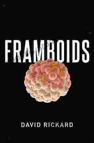 Framboids David Rickard