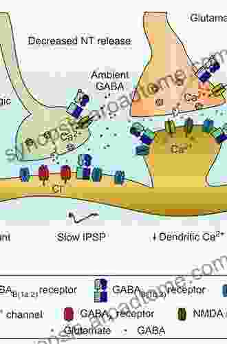 GABAB Receptor (The Receptors 29)