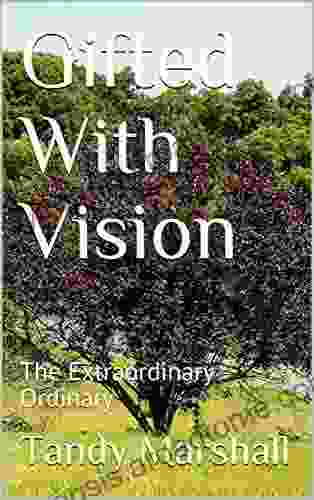 Gifted With Vision: The Extraordinary Ordinary