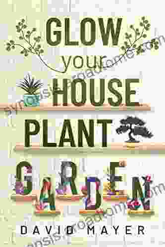 Glow Your Houseplant Garden: The Step By Step Guide Of Indoor Plant Care For Beginners