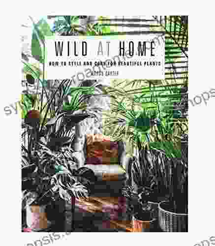 Wild At Home: How To Style And Care For Beautiful Plants