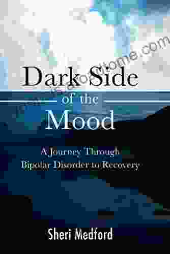 Dark Side of the Mood: A Journey Through Bipolar Disorder to Recovery