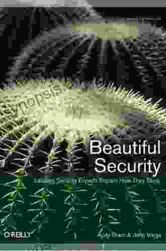 Beautiful Security: Leading Security Experts Explain How They Think