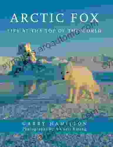 Arctic Fox: Life at the Top of the World