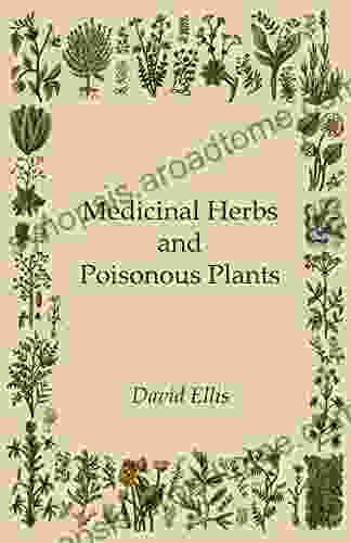 Medicinal Herbs And Poisonous Plants