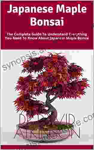 Japanese Maple Bonsai: The Complete Guide To Understand Everything You Need To Know About Japanese Maple Bonsai