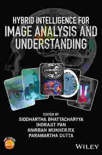 Hybrid Intelligence For Image Analysis And Understanding