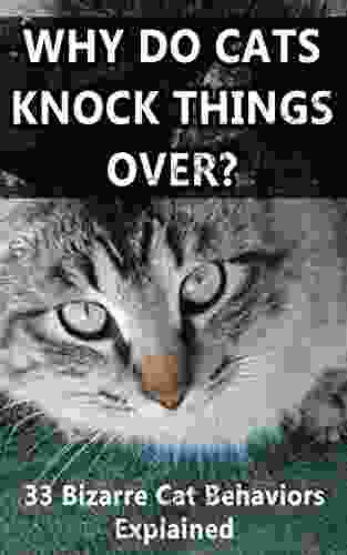 Why Do Cats Knock Things Over?: 33 Bizarre Cat Behaviors Explained