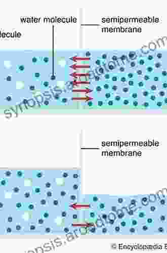 Cell Movements: From Molecules To Motility