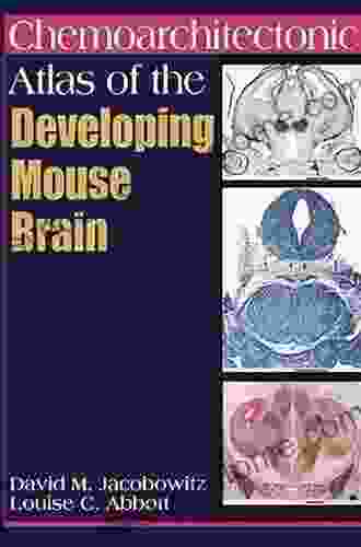 Chemoarchitectonic Atlas Of The Developing Mouse Brain