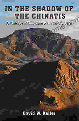 In The Shadow Of The Chinatis: A History Of Pinto Canyon In The Big Bend (The Texas Experience Made Possible By Sarah 84 And Mark 77 Philpy)