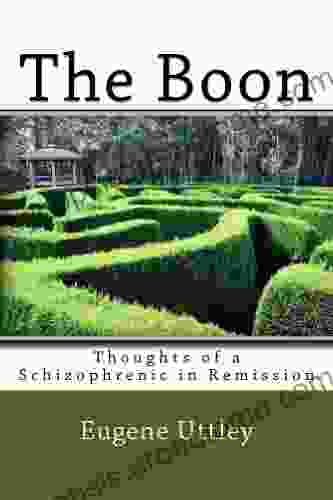 The Boon: Thoughts Of A Schizophrenic In Remission